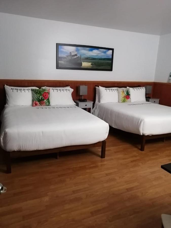 Hotel Fleurs Karaibes Saint-Alexandre-de-Kamouraska ภายนอก รูปภาพ